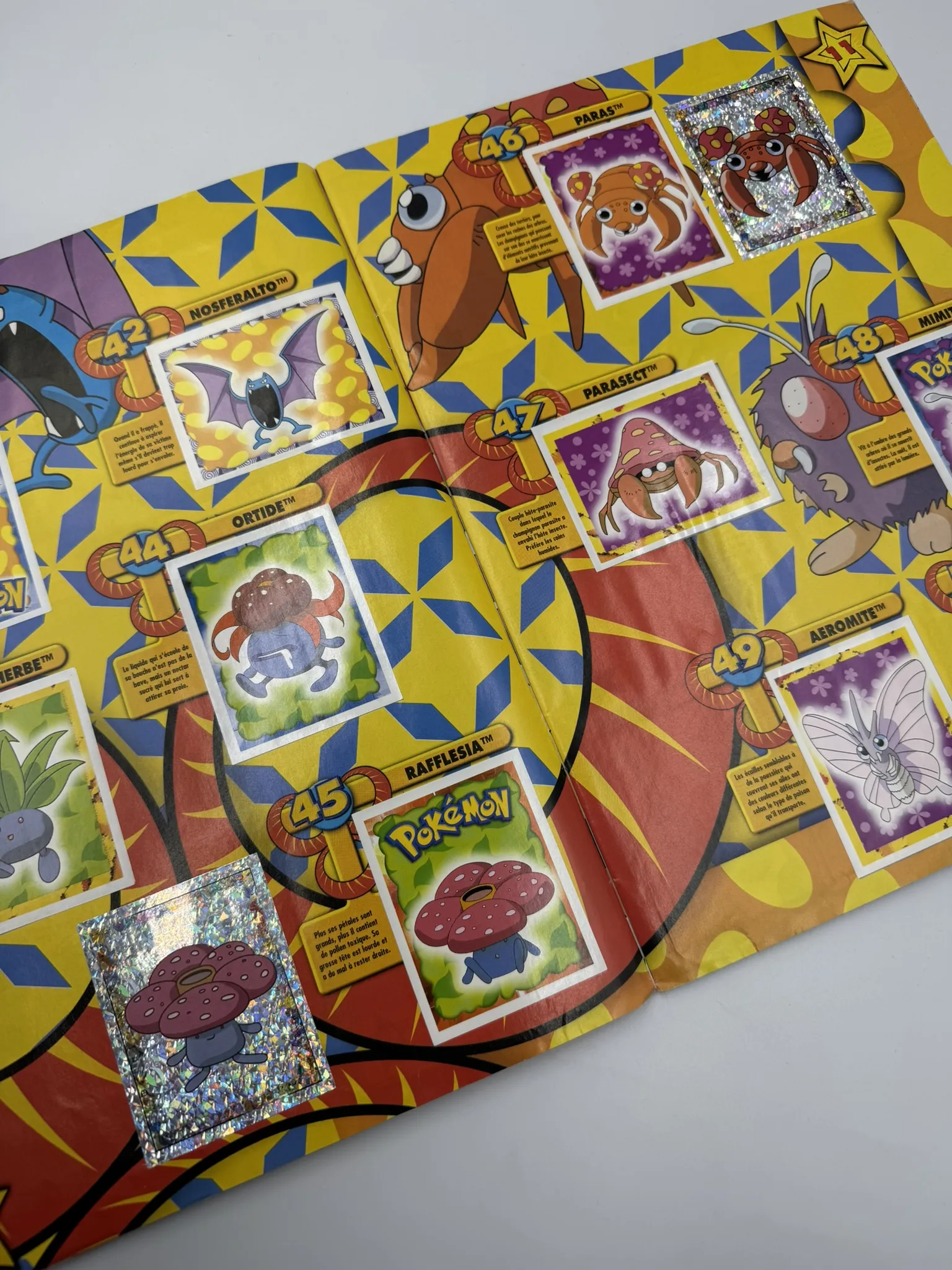 Pokémon – Attrapez-les tous! 