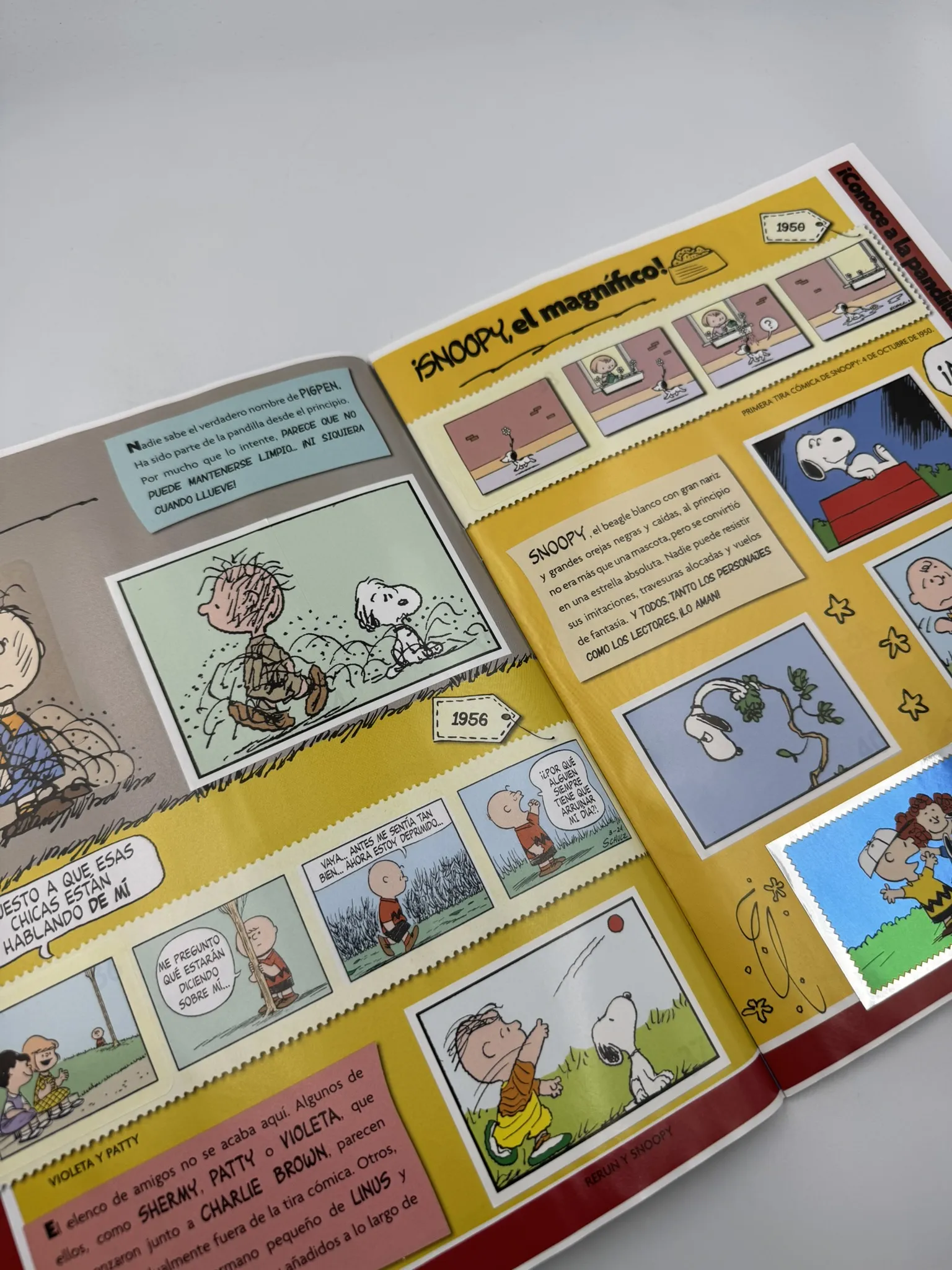 Snoopy - Álbum Familiar