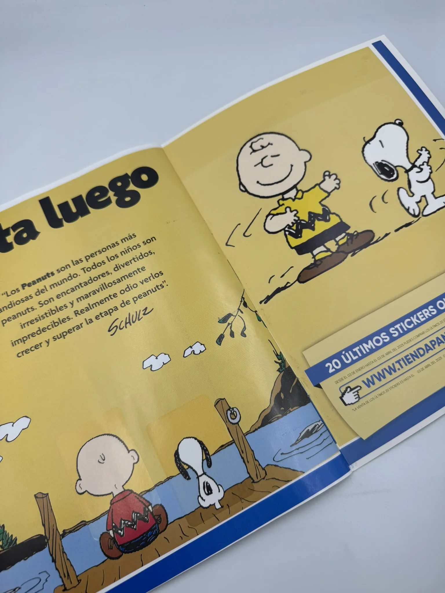 Snoopy - Álbum Familiar