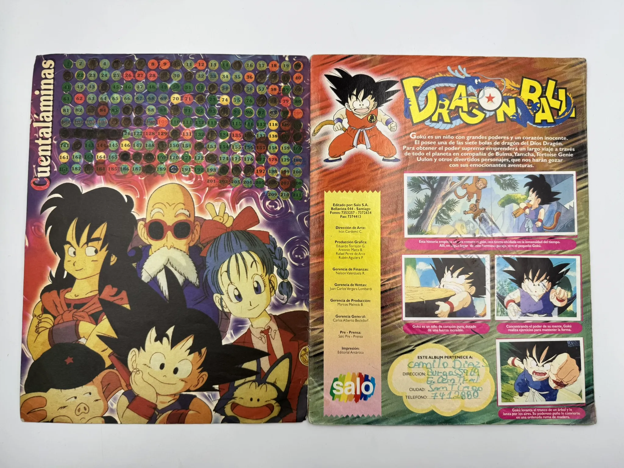Dragon Ball